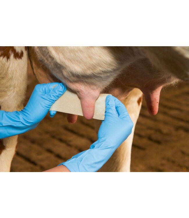 Zitzenverband UdderoSoft