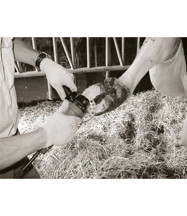 Klauenschneidscheiben 6 Cut / 3 Cut