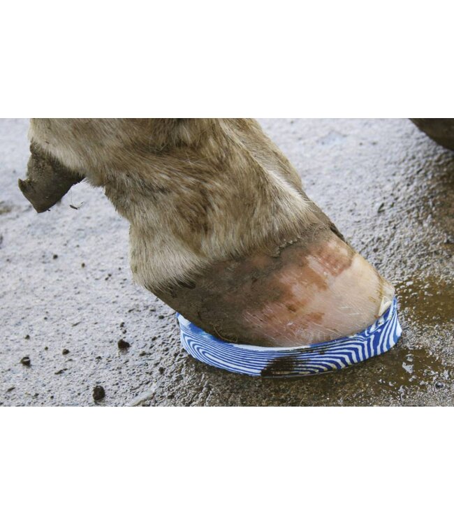 Walkease Klauenbehandlung