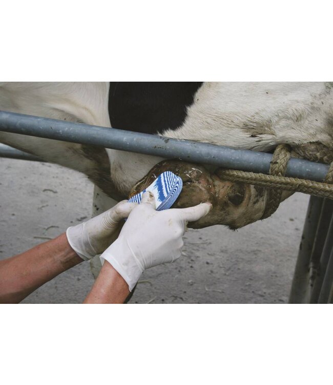 Walkease Klauenbehandlung