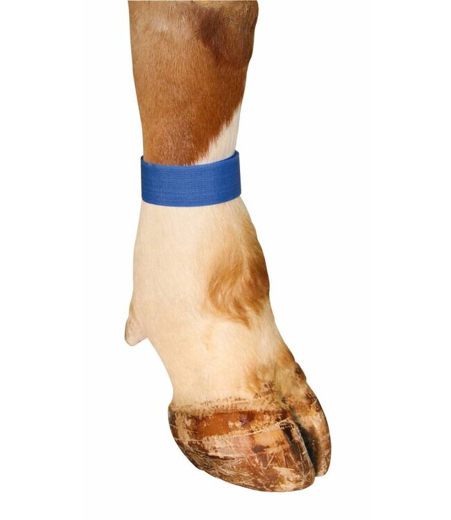 Fessel-Markierungsband