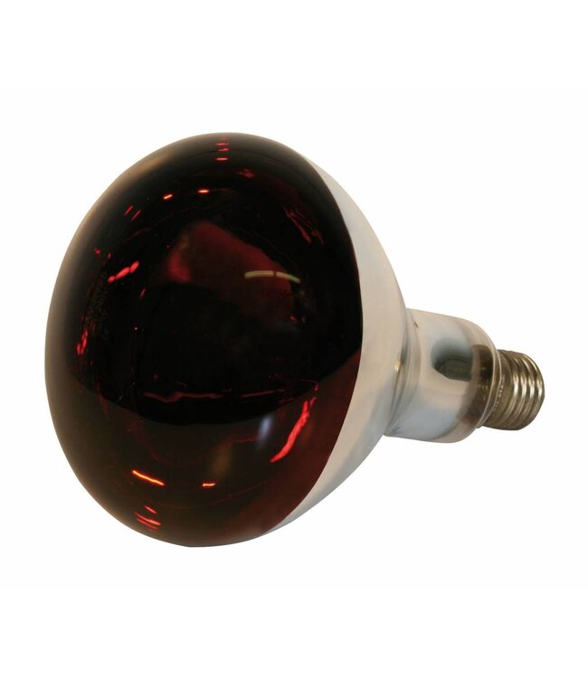 Hartglas-Infrarotlampe Kerbl
