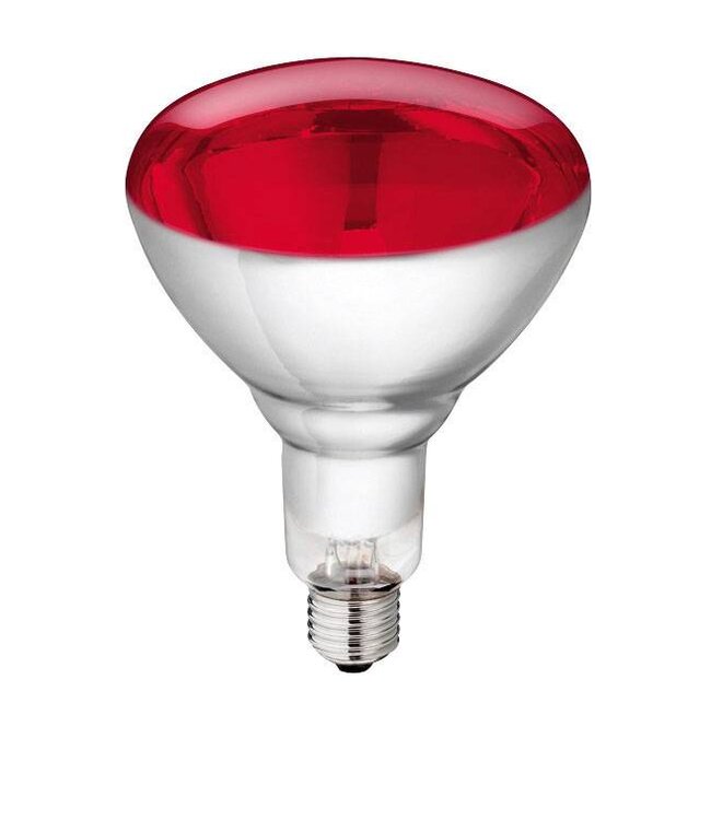 Hartglas-Infrarotlampe Philips