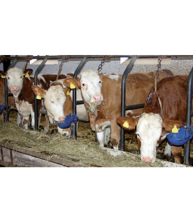 Tränkebecken ALLWEILER K/2