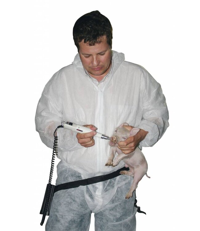 Akku - Zahnschleifgerät ProPig