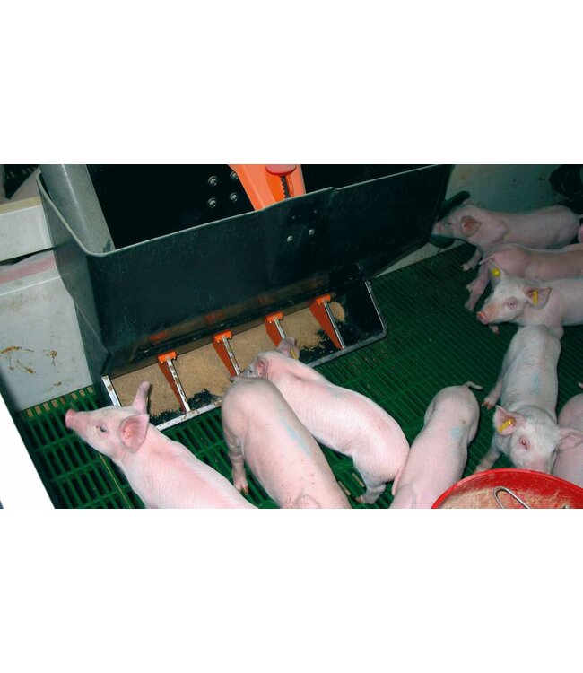 Futterautomat für Ferkel TR-5