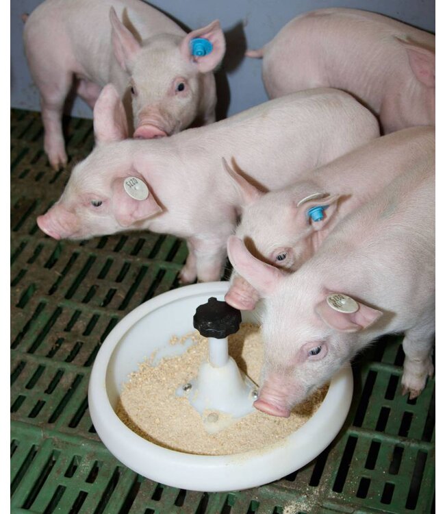 Ferkelschale Kunststoff mit J Haken