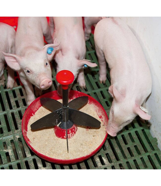 Ferkelschale Mini-Piglet