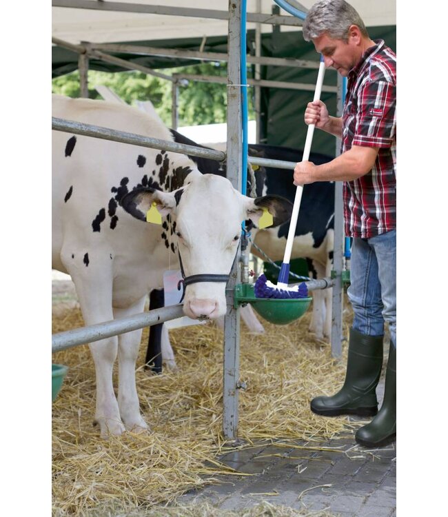 Universal- und Kesselbürste
