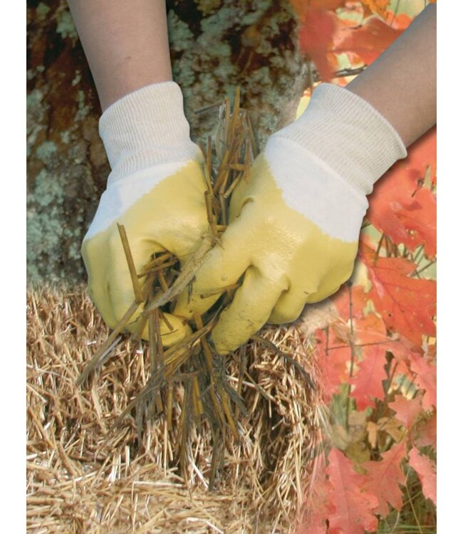 Nitril-Handschuh ProNit