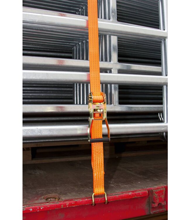 Ratschen-Zurrgurt mit Klauenhaken