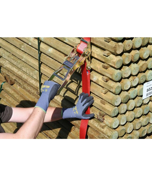 Ergo-Langhebel-Ratschenzurrgurt