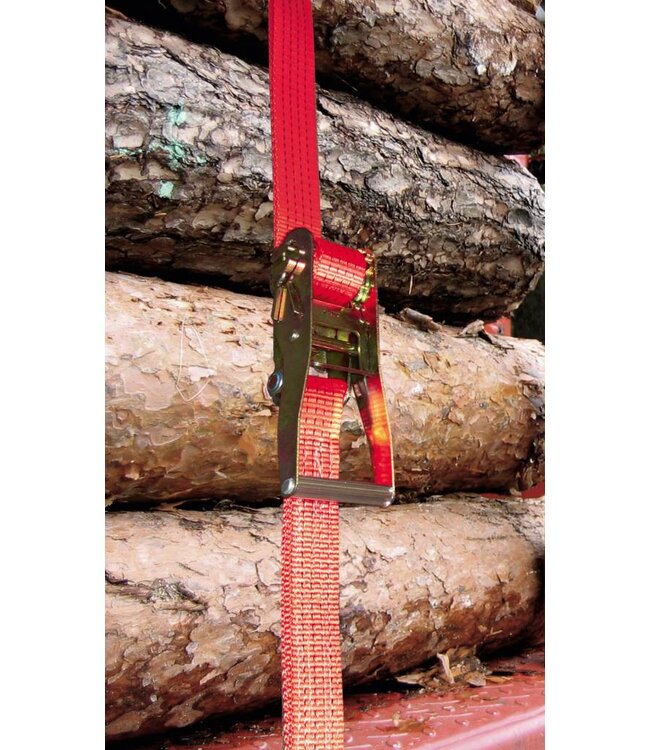 Ratschen-Zurrgurt mit Triangelhaken und Dreieckring