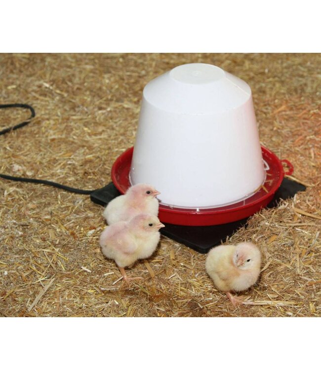 Gummi-Heizplatte für Kleintiere und Geflügeltränken