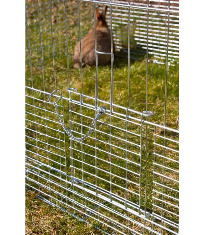 Jungtier-Freilaufgehege mit Ausbruchsperre