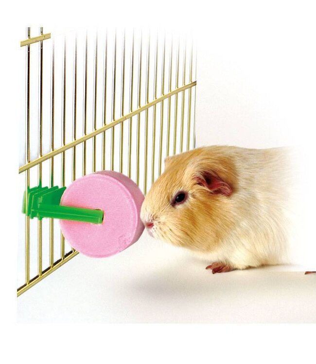 Salzleckstein mit Halter