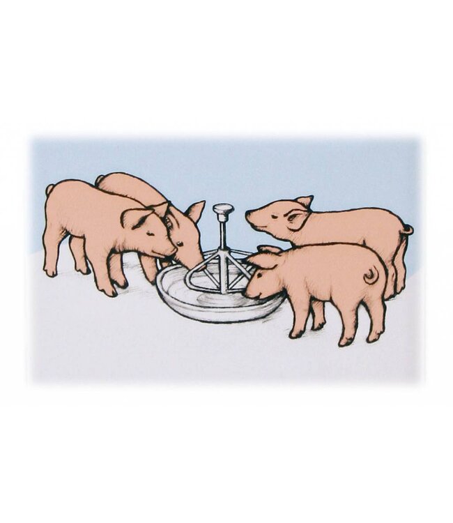 Ferkelschale Edelstahl