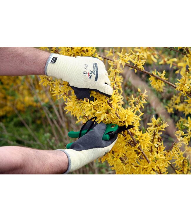 Handschuh PowerGrab Plus