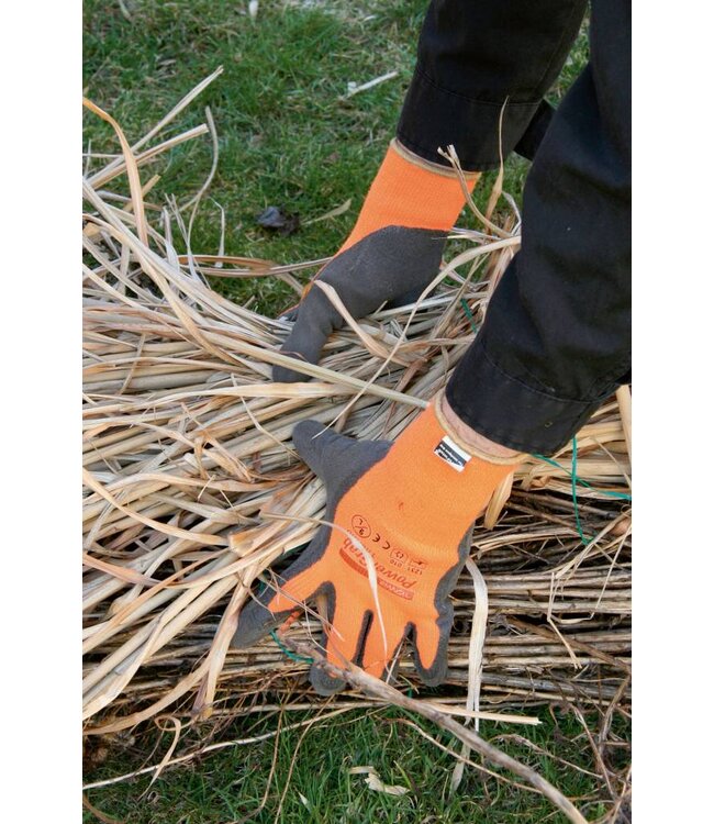 Winterhandschuh PowerGrab Thermo