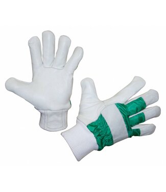 Winterhandschuh