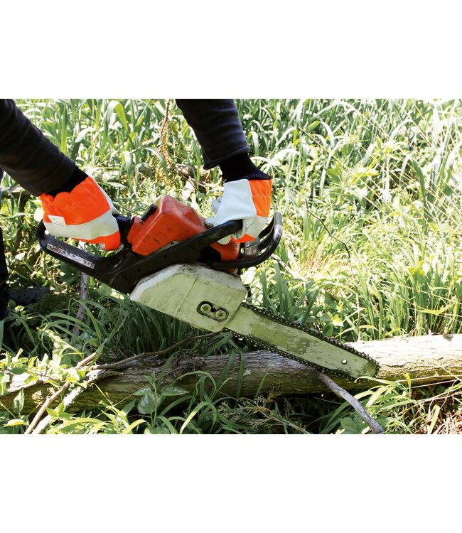 Motorsägenhandschuh Logger