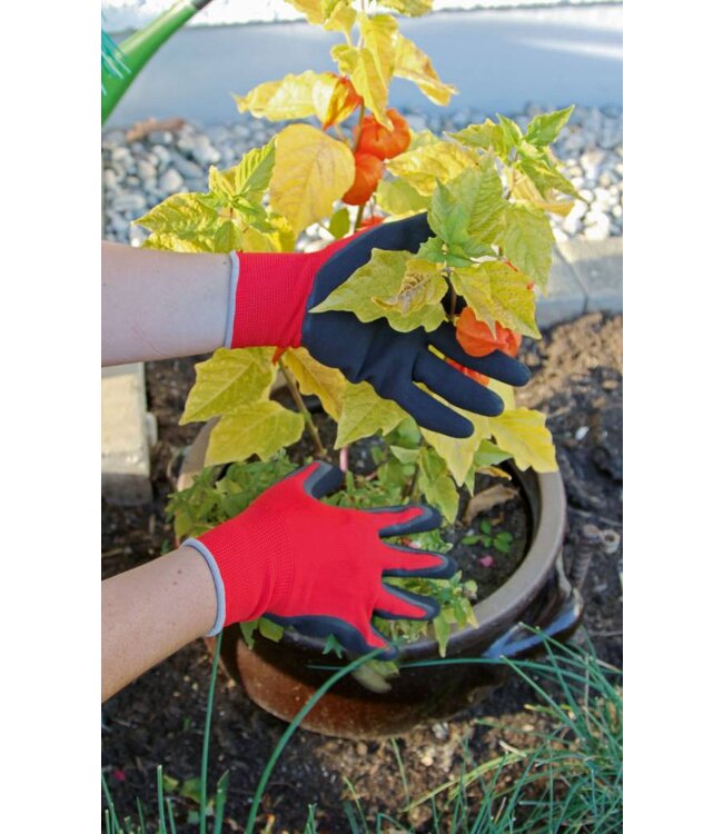 Feinstrickhandschuh SmoothGrip