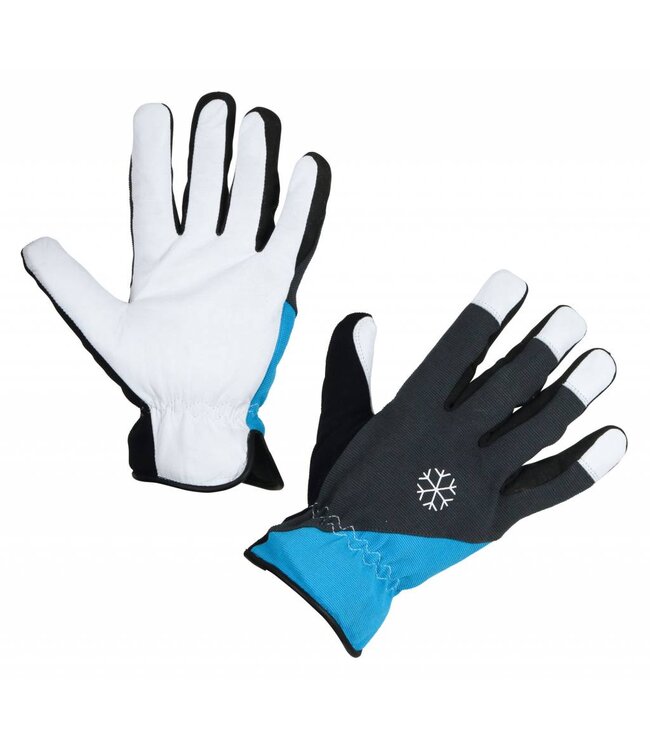 Winterhandschuh  Eco Polartex