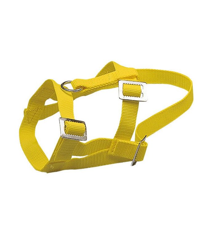 Kopfhalfter für Schafe und Böcke