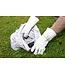 Schweißerhandschuh Weldex