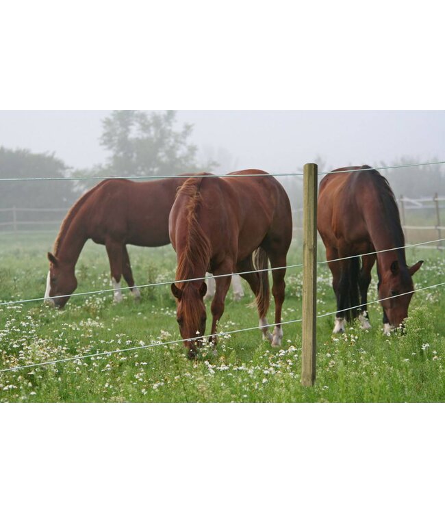 Euroguard Premium Horsewire 250m, 8mm