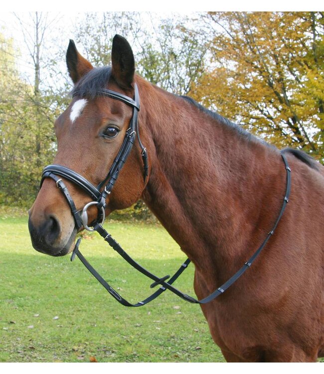 Trensenzaum, Leder, Top-Quality, schwarz, Warmblut