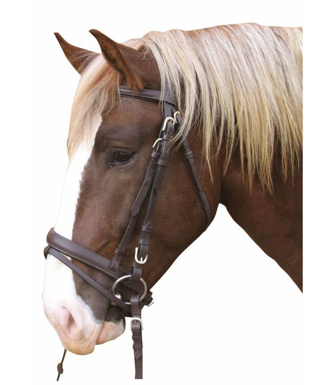 Trensenzaum, Leder braun Kaltblut