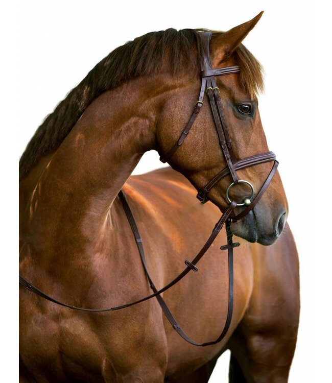 Trensenzaum Classic Leder, braun, Pony