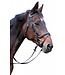 Trensenzaum Classic Leder, braun, Warmblut