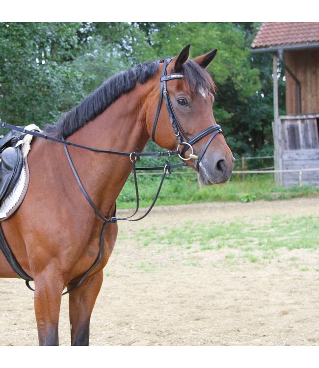 Martingal, Leder, schwarz Größe Pony