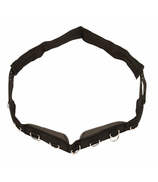 Longiergurt Nylon, 9 Ringe Pony, verstellbarer Bauchgurt