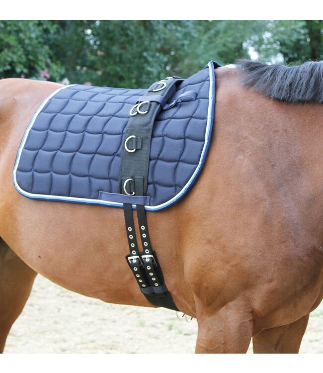 Longiergurt, breit, 9 Ringe mit verstellbarem Bauchgurt