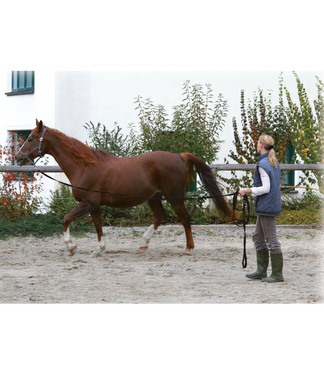 Longierleine 7,50 mtr. schwarz