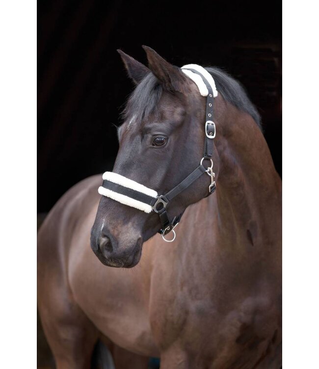 Pferdehalfter mit Webpelz Gr. 3, schwarz