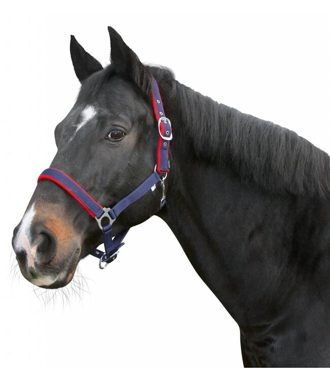 Halfter Dexter mit Fleeceunterlage, blau, Gr. 3