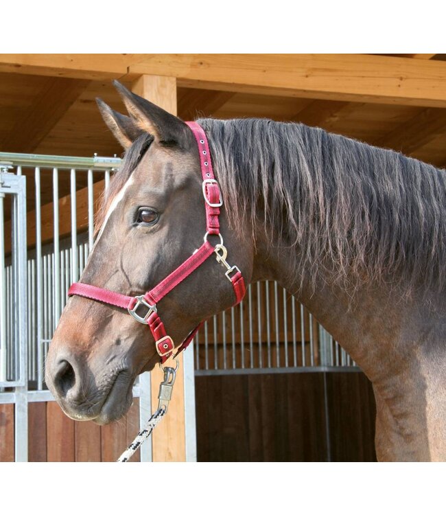 Halfter Mustang, Gr. 2 2fach verstellb., schw./silber