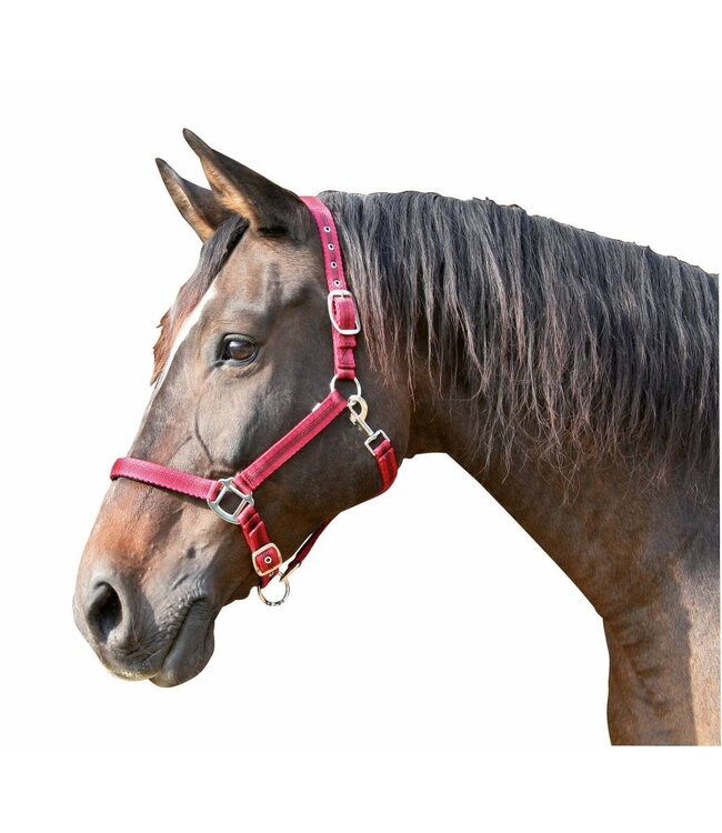 Halfter Mustang, Gr. 2 2fach verstellb., schw./silber