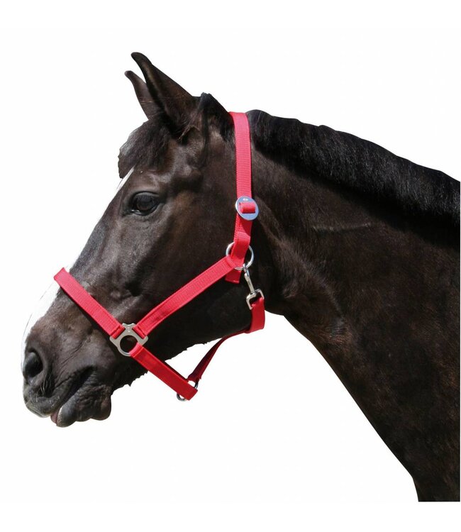 Nylonhalfter Classic schwarz, Gr. 1