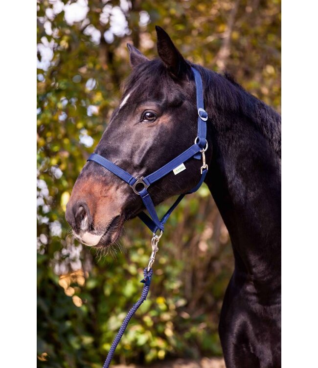 Nylonhalfter Classic blau, Gr. 00