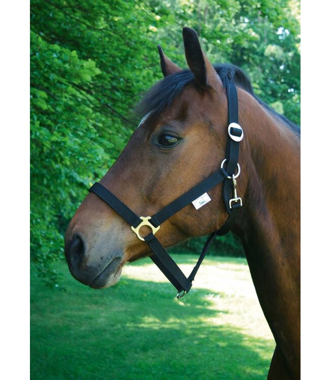 Nylonhalfter Classic schwarz, Gr. 00
