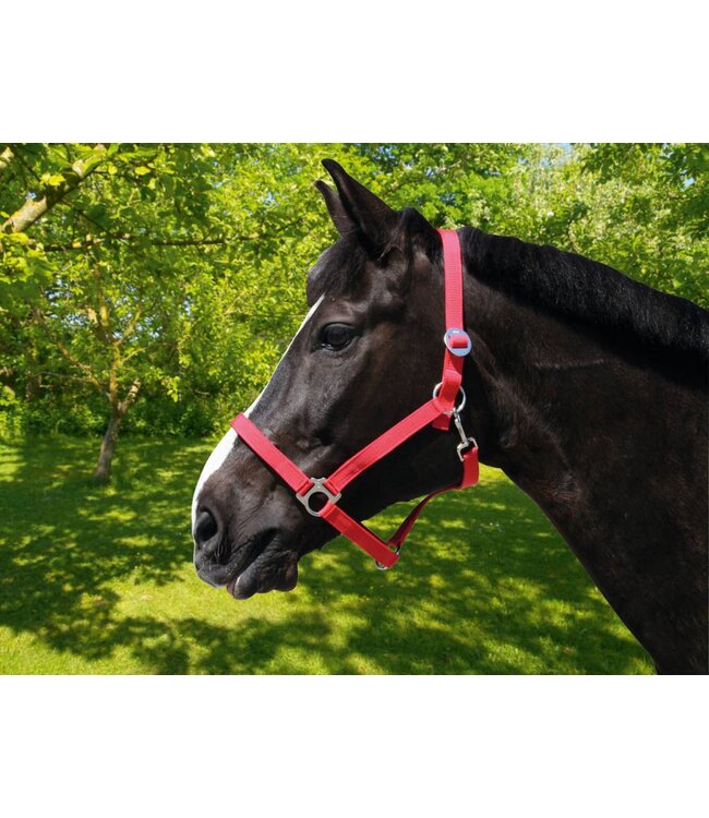 Nylonhalfter Classic schwarz, Gr. 4