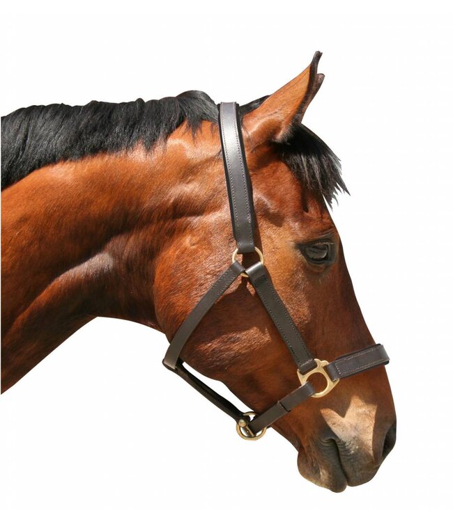 Halfter Eco, Pony, Leder braun