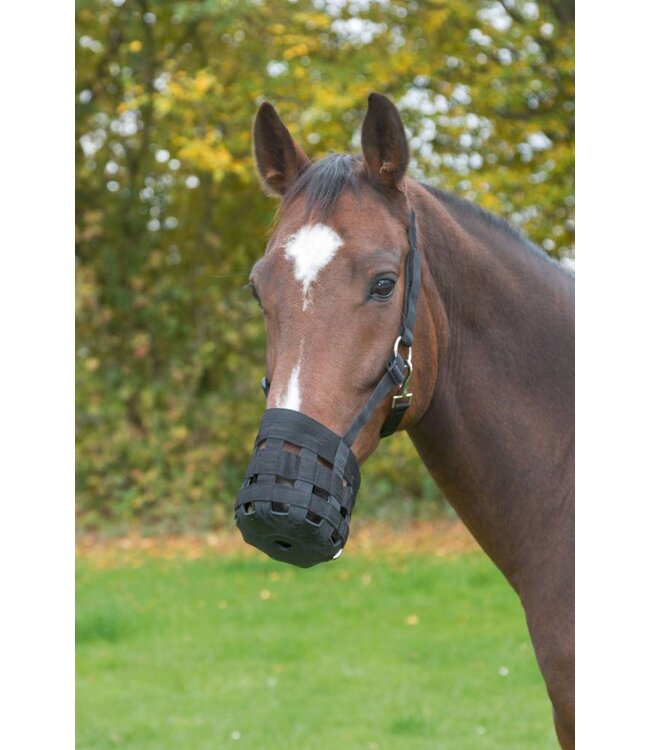 Maulkorb/Fressbremse Nylon, schwarz, Warmblut