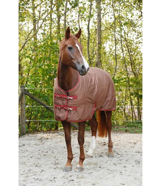 RugBe Winterdecke IceProtect 300gr. darkbrown/red, 155cm