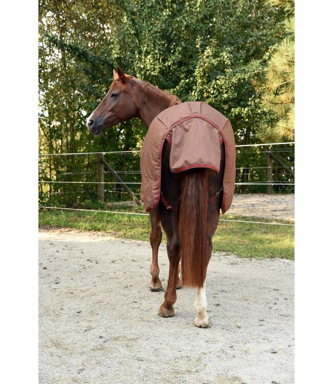 RugBe Winterdecke IceProtect 300gr. darkbrown/red, 155cm